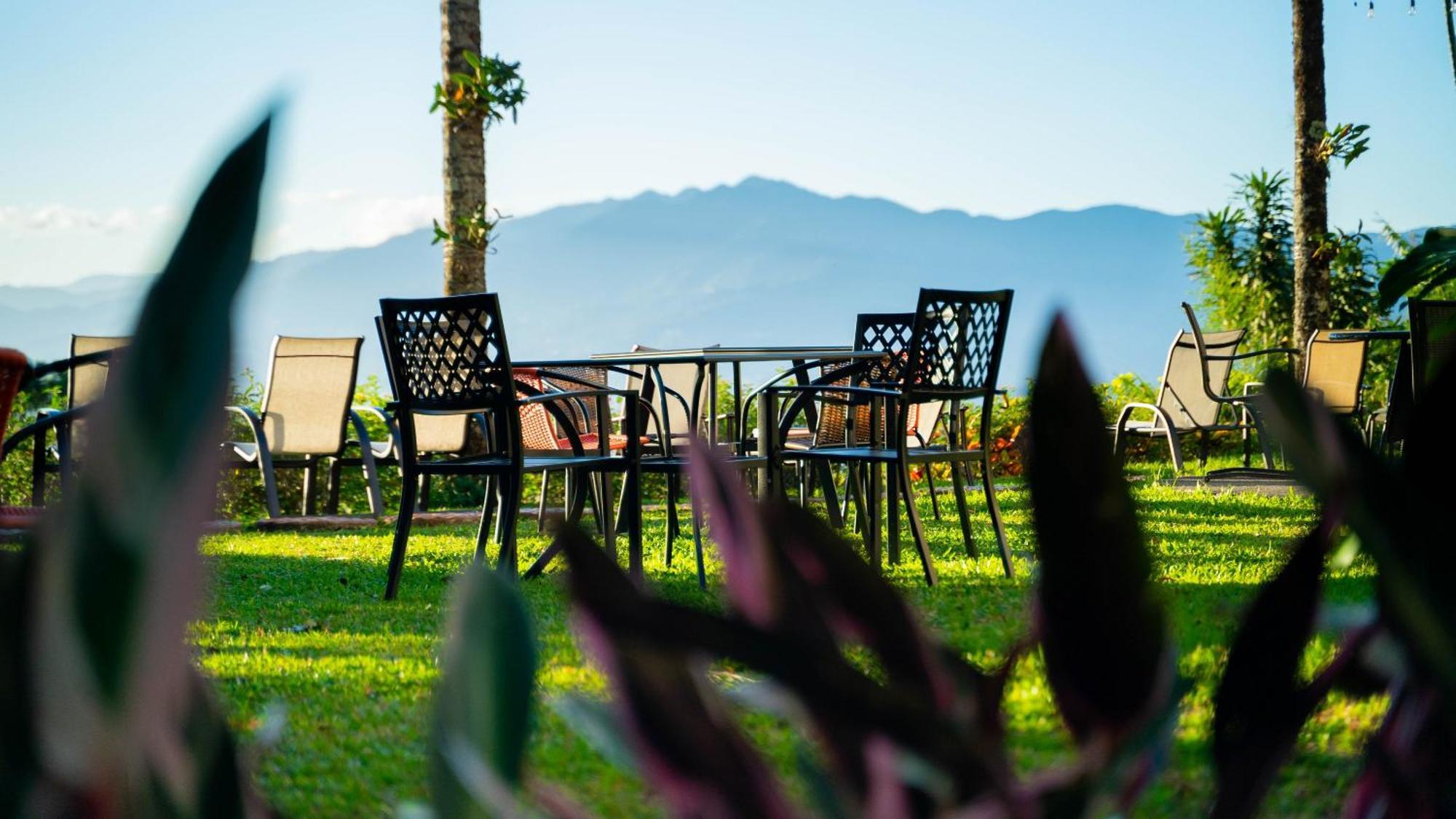 Buena Vista Chic Hotel Pilas Kültér fotó
